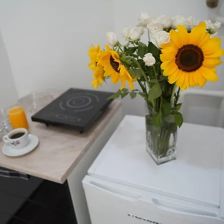 Apartment & Dream Nis